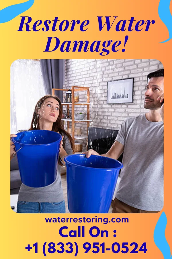 water restoration Pinnacle Water Removal Brothers Corwin