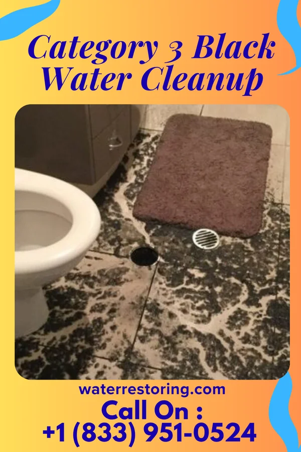 Category 3 Black Water Cleanup in Corwin, OH