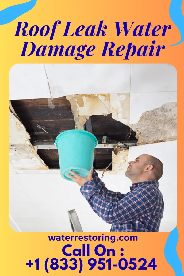 Roof Leak Water Damage Repair in Corwin, OH