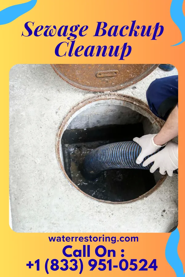 Sewage Backup Cleanup in Corwin, OH